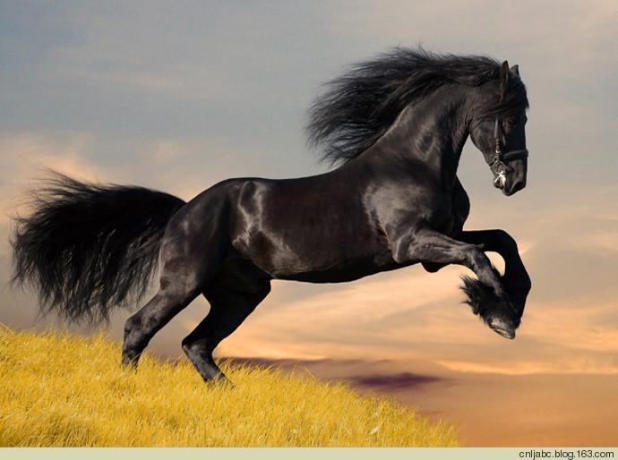 开云体育官网-关于一场胜利改变命运，反弹势头明显的信息